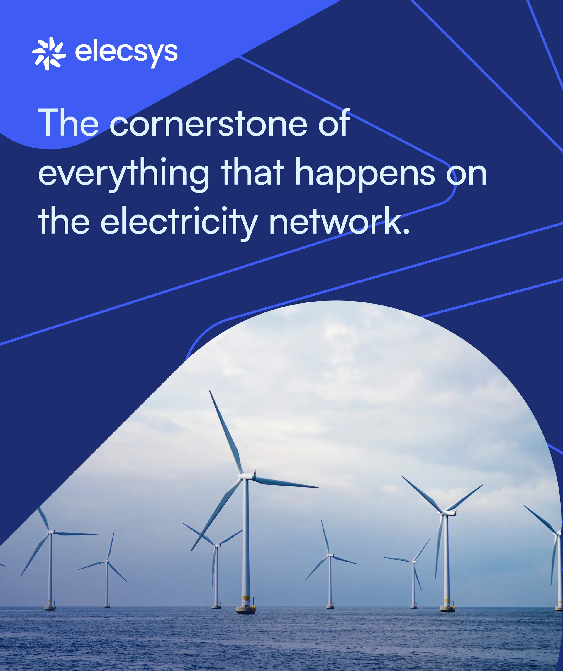 Elecsys case study screen