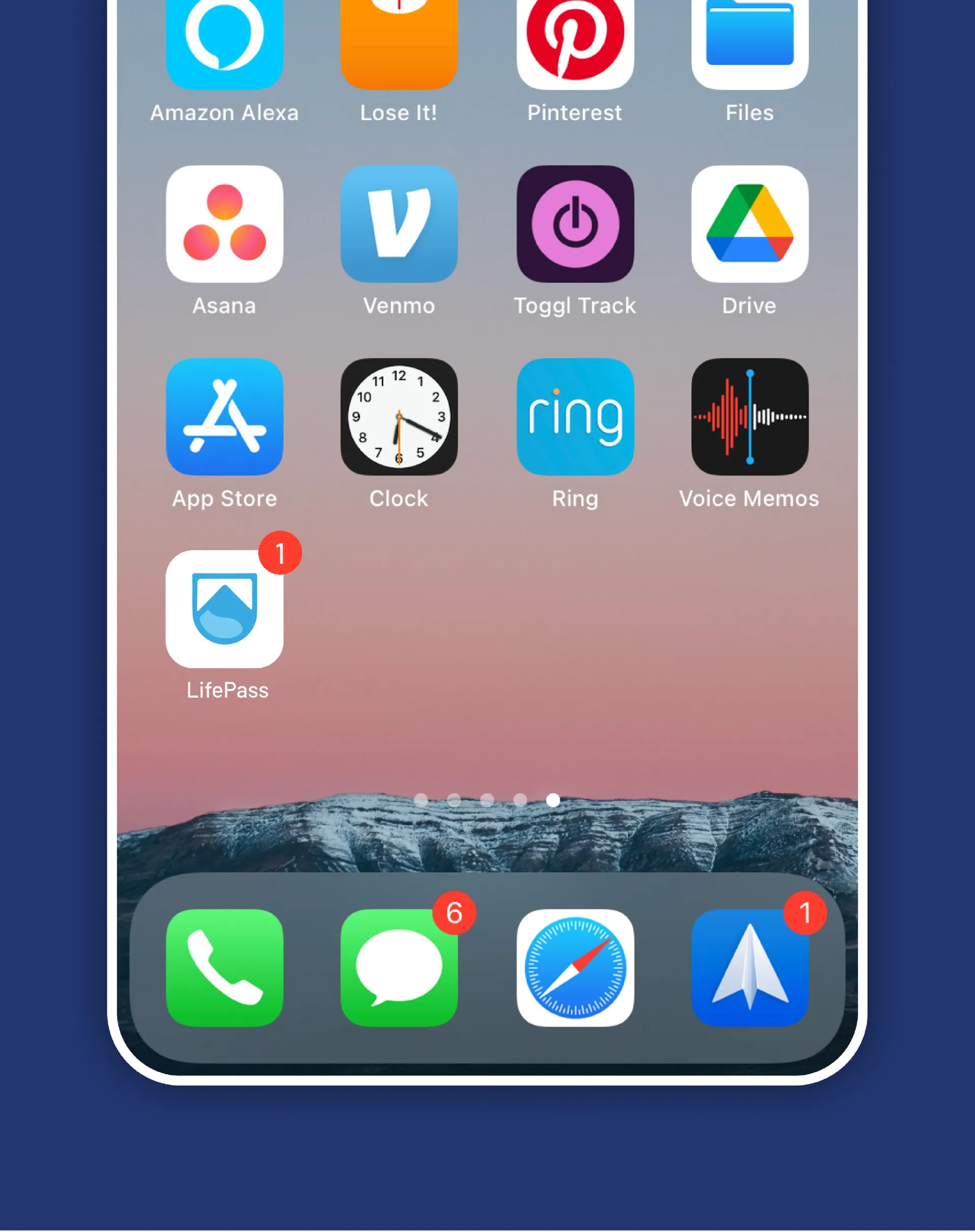 LifePass case study screen