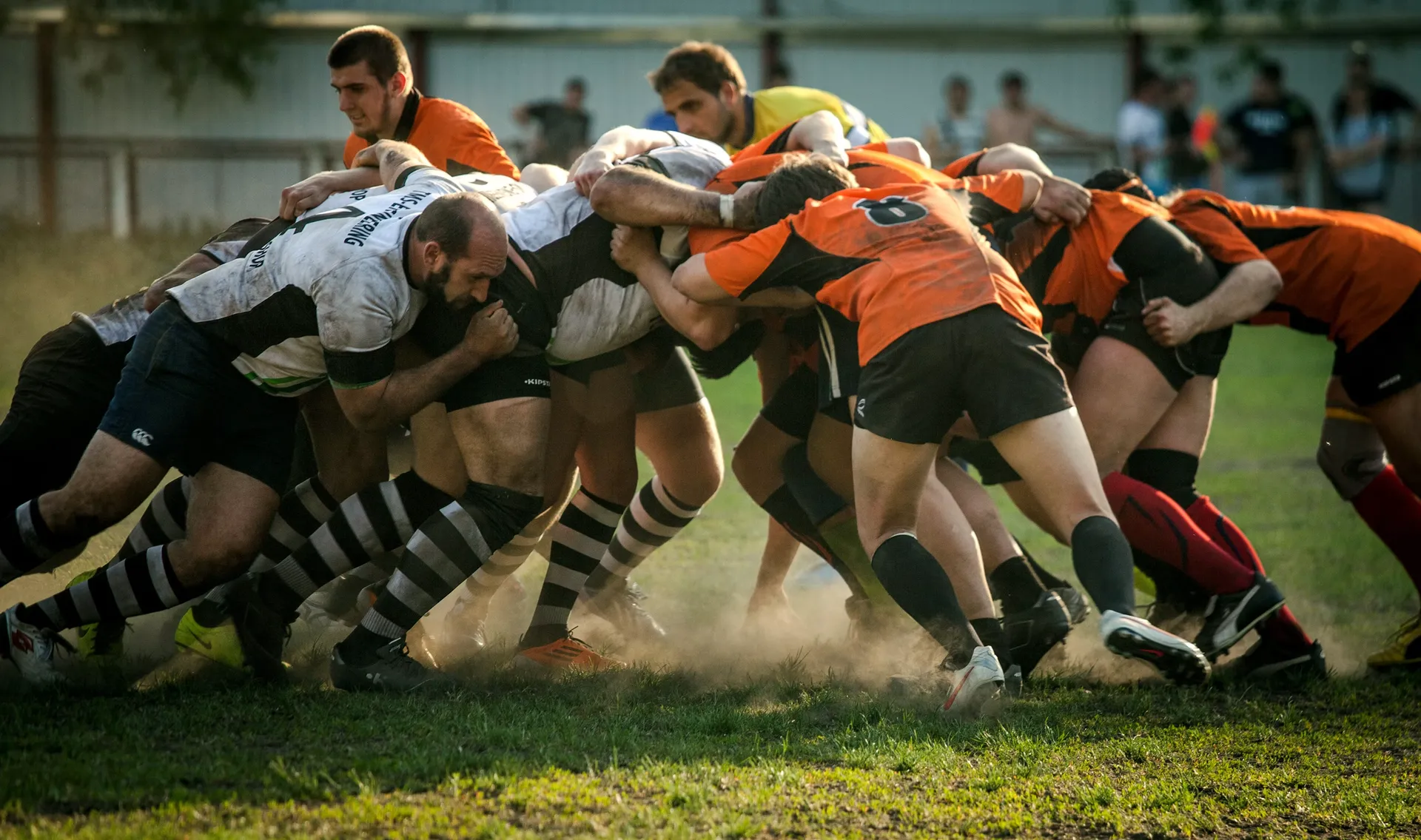 Performa Sports case study screen