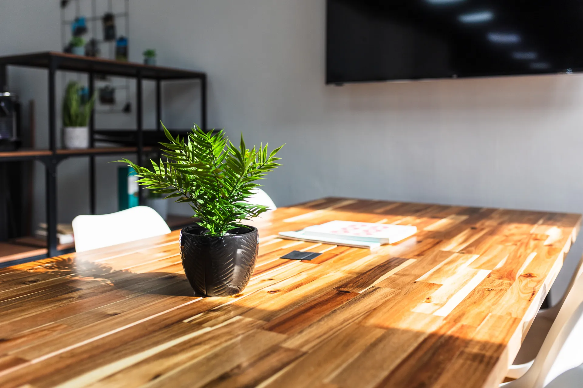 Plant on a wooden meeting table